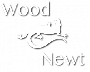 Wood Newt